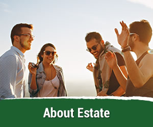 About Estate
